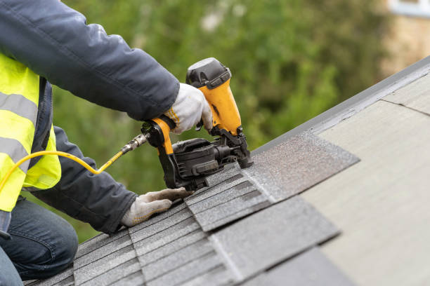 Best Roof Moss and Algae Removal  in Fort Meade, FL