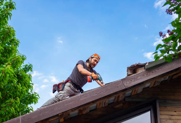 Best Roof Installation  in Fort Meade, FL