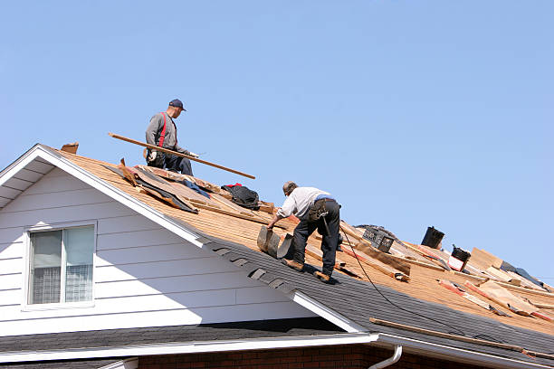 Best Flat Roofing  in Fort Meade, FL